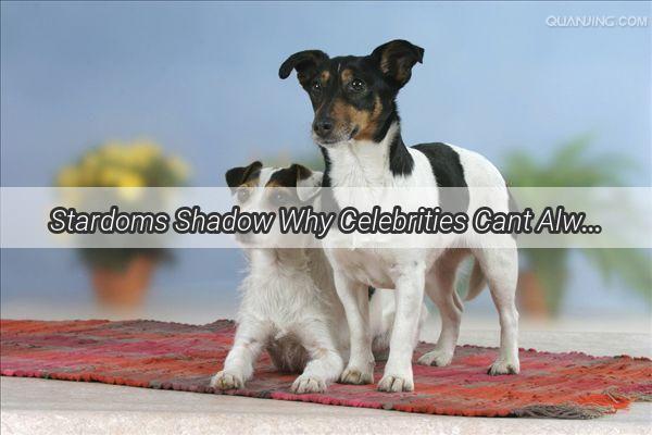 Stardoms Shadow Why Celebrities Cant Always Embrace the Paws of Joy